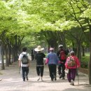 보건소 통합건강관리실 이미지