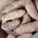 해풍상회 이미지