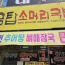 노포 맛집 금탑소머리국밥 송정점
