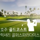 골퍼스파라다이스 네이버블로그