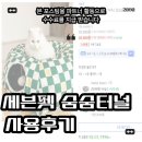 펫하우스 | 고양이 터널 하우스 추천 + 세븐펫 숨숨터널 솔직후기