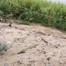 대호2농장 이미지