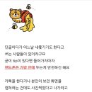 노사이드 이미지