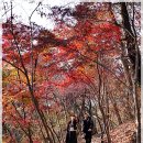 원쇼핑아울렛 이미지