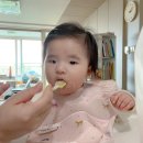 아기 흰살생선 중기 이유식 종류 큐브 추천 ft.밥솥이유식