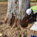 1-11호어린이공원 이미지