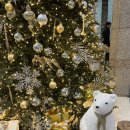 수정-5 | EP.18 인공수정후기 더블링 5주차 증상 입덧 식단