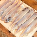 군산 참박대 수산 이미지