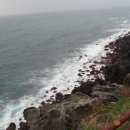 초이스쉼터 이미지