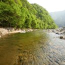 지니펜션2 이미지