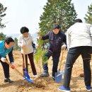 소망의 나무 이미지