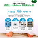 한진세탁 | [육아꿀템] 내돈내산 베이비본 바운서 대여 후기! (리틀베베 최상급 메쉬)
