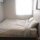 호스텔 서울 | [동대문 게스트하우스]아늑하고 귀여운 바닐라호스텔(vanilla.two)