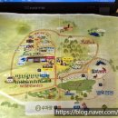 이마트24 호원IC점 | 가족여행 숙소 추천] 더스테이힐링파크 포레스트B 복층 객실 컨디션 1박2일 방문기(내돈내산 여행후기)