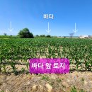 홍성/ 서부 바다 앞 토지. 드물게 나오는 귀한 매물 이미지