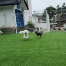 헬로우버디 판교밸리점 이미지