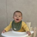배곧센터프라자(센타프라자1) | 짐보리 프라자센터 11개월아기 크롤러 겨울학기 후기(1)