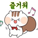 네일드마엘 이미지