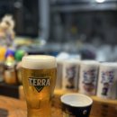 인천 굴포천 이자카야 이타바에서 즐긴 꼬치와 생맥주