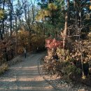 버스정류장_노인복지회관 이미지