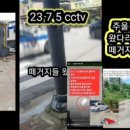설탕든남자 이미지