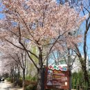 새마을로3길-3 이미지