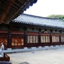 동화사(도학동) 이미지
