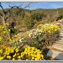 힐링정원 이미지