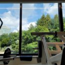 브라운 짐 이미지