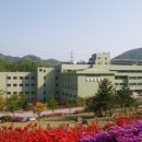 엔케이바이오 이미지