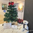 케이호텔 | 비스타케이호텔 월드컵 후기, 서귀포 가성비 숙소 추천