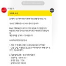 유스바람개비 | 2025 DMZ OPEN 콘서트✨이영지 전소미 성시경 무대 직관 후기