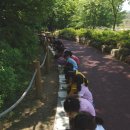 꿈나무유치원 이미지