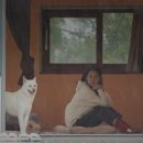 동물농장 이미지