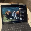 교사의 새해는 3월부터 시작이라며..