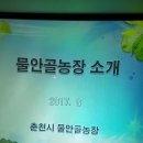 물안골농장