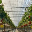 고양농장2 이미지