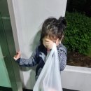 술이랑전이랑 이미지