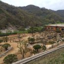 느티나무농장 이미지