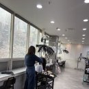 후미용실 네이버블로그