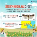 DJ축산 이미지