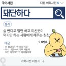 포식 쌀국수&돈까스 고산듀클래스점