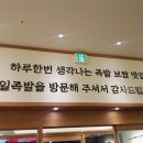 삼성족발 - 강남구 영동대로112길 9 | 삼성족발