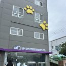 한국반려동물영양연구소 | 닥터레이 한국반려동물영양연구소 간담도계 세미나 후기