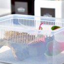 렙타일케이지 이미지