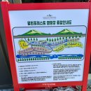 강림면378 | 횡성 신설캠핑장 월현포레스트캠프 할로윈 및 R11사이트 후기