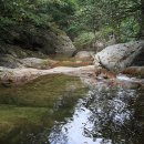 유명산자연휴양림 이미지