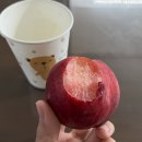 7월 둘째주 주간일기