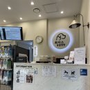 토마스동물병원 | 내돈내산 양평 동물병원 추천 - 고양이 진료는 여기!