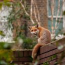 gc-camera-053 이미지